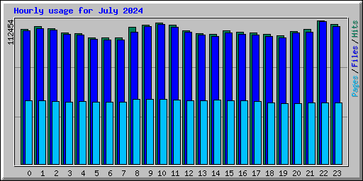 Hourly usage for July 2024