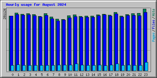 Hourly usage for August 2024