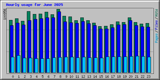 Hourly usage for June 2025