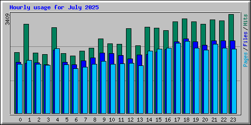 Hourly usage for July 2025