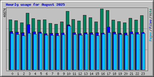 Hourly usage for August 2025