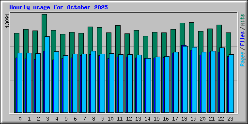 Hourly usage for October 2025