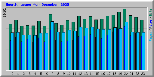 Hourly usage for December 2025