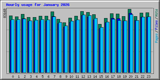 Hourly usage for January 2026