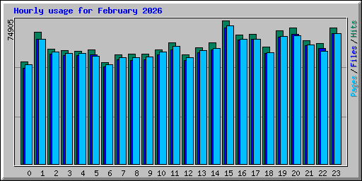 Hourly usage for February 2026