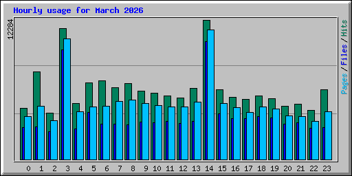 Hourly usage for March 2026