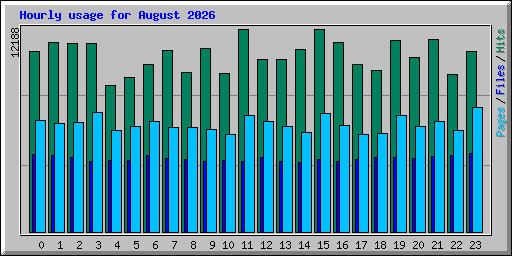 Hourly usage for August 2026